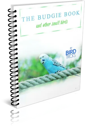 Budgie Book Cover Spiral Bound PNG Image