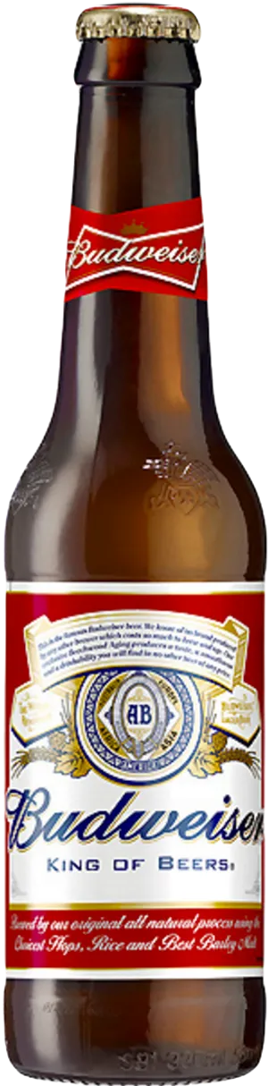 Budweiser Beer Bottle PNG Image