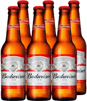 Budweiser Beer Bottles Array PNG Image