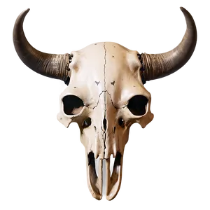 Bull Skull And Feathers Png Xne51 PNG Image