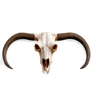 Bull Skull Illustration Png 77 PNG Image