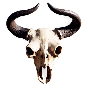 Bull Skull With Horns Png But PNG Image