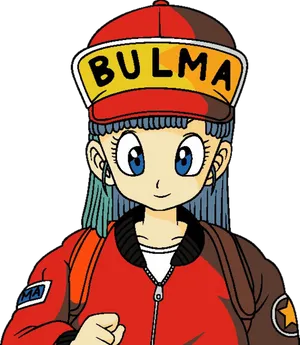 Bulma Classic D B Z Look PNG Image