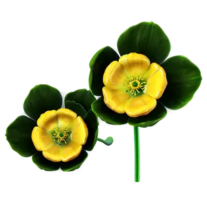 Buttercup Blossom Png 06252024 PNG Image