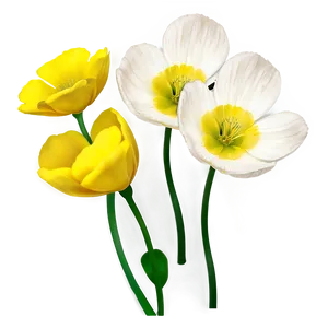 Buttercup Flower Png 59 PNG Image