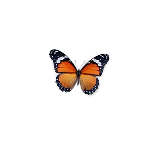 Butterfly Emoji Background Png 06292024 PNG Image