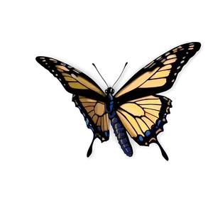 Butterfly Landing Png 89 PNG Image