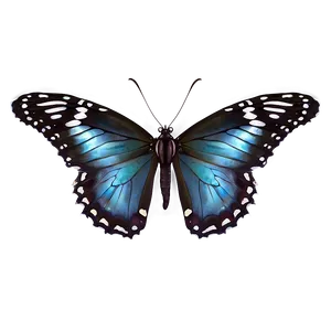 Butterfly Landing Png Eyx84 PNG Image