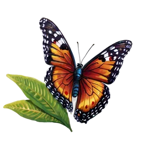 Butterfly Oasis Png 19 PNG Image