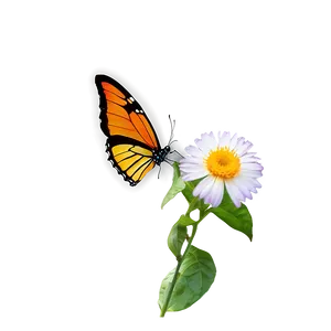 Butterfly On Flower Png 2 PNG Image