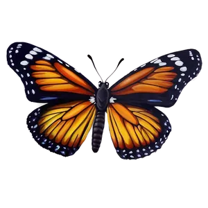 Butterfly Realism Art Png Xnr PNG Image