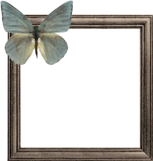 Butterflyon Wooden Frame PNG Image