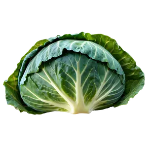 Cabbage Leaf Png 77 PNG Image