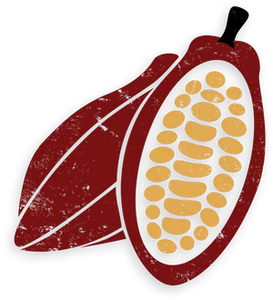 Cacao Pod Illustration PNG Image