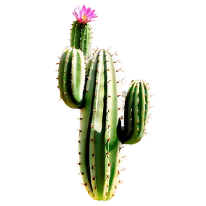 Cacti D PNG Image