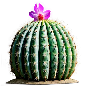 Cactus In Desert Dunes Png Wpn29 PNG Image