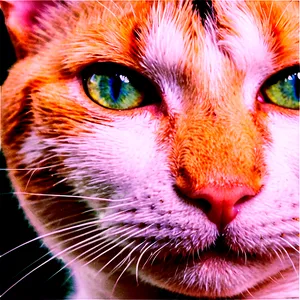 Calico Cat Face Png Xeu71 PNG Image