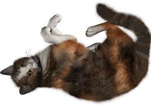 Calico Cat Lying On Back PNG Image