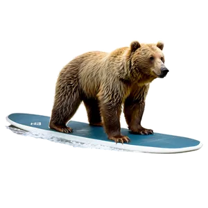 California Surfing Bear Png Xrj62 PNG Image