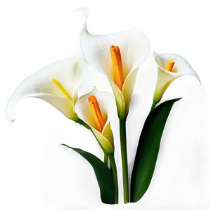 Calla Lily Arrangement Png 57 PNG Image