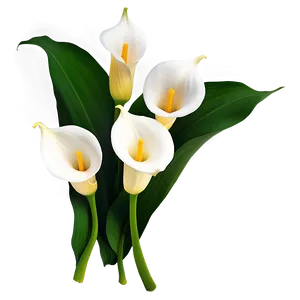 Calla Lily Arrangement Png Jsj PNG Image