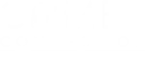 Camel Connections Logo PNG Image