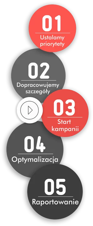 Campaign Steps Infographic Polish PNG Image