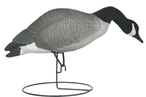 Canada Goose Decoy Stand PNG Image