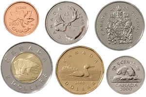 Canadian Currency Coins2000 PNG Image