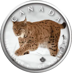 Canadian Lynx Silver Coin PNG Image