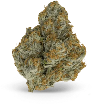 Cannabis Bud Closeup PNG Image