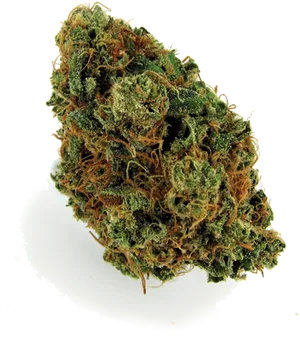 Cannabis Bud Closeup PNG Image