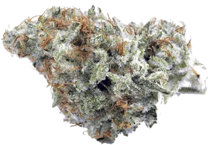 Cannabis Bud Closeup PNG Image