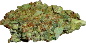 Cannabis Bud Closeup.png PNG Image