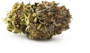 Cannabis Bud Closeup.png PNG Image