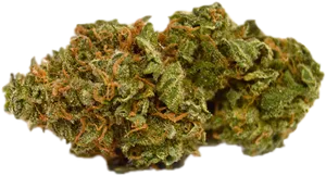 Cannabis Bud Closeup.png PNG Image