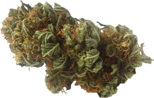 Cannabis Bud Closeup.png PNG Image