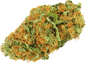 Cannabis Bud Closeup.png PNG Image