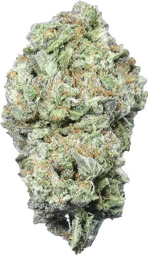 Cannabis Bud Closeup.png PNG Image