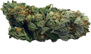 Cannabis Bud Closeup.png PNG Image