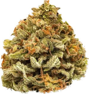 Cannabis Bud Closeup PNG Image