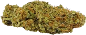 Cannabis Bud Closeup PNG Image