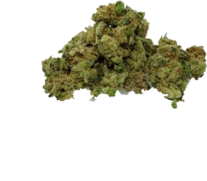 Cannabis Buds Black Background PNG Image