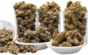 Cannabis Buds Display PNG Image