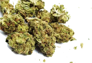 Cannabis Buds Isolated Background PNG Image