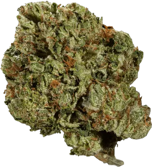 Cannabis Flower Closeup PNG Image