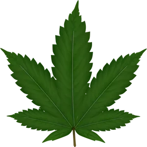 Cannabis Leaf Graphic PNG Image