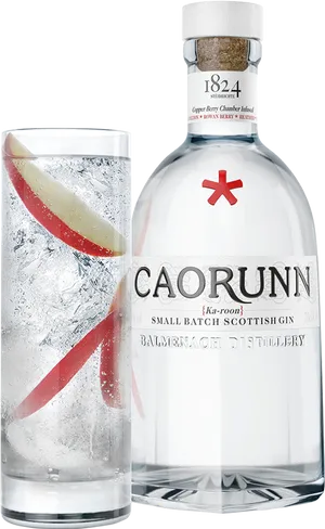 Caorunn Scottish Ginand Tonic PNG Image