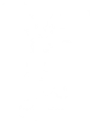 Capricorn Zodiac Sign Artwork PNG Image