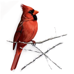 Cardinal Bird Vector Png 54 PNG Image